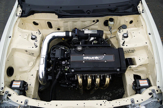 Billings' Leader in Automotive Detail Excellence.  We offer Detailing, Mobile Detailing, Paint Decontamination(Clay Bar), Paint Enhancement (1 Step Rotary Polish), Paint Correction (2+ Step Rotary Polish), Ceramic Coating (1 Year, 2 Year, 5 Year, 10 Year), as well as Monthly Detailing Subscriptions.